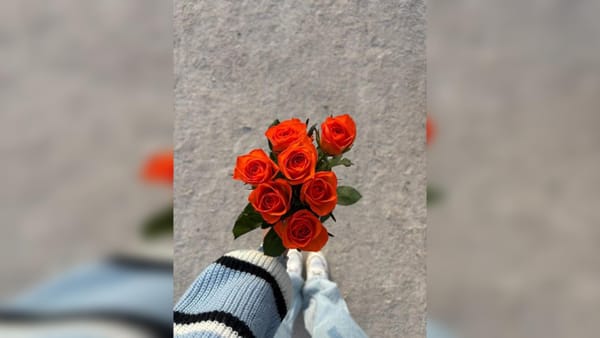 Krásne jarné dníčky ☀️